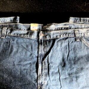 Levi Strauss- Carpenter Jeans